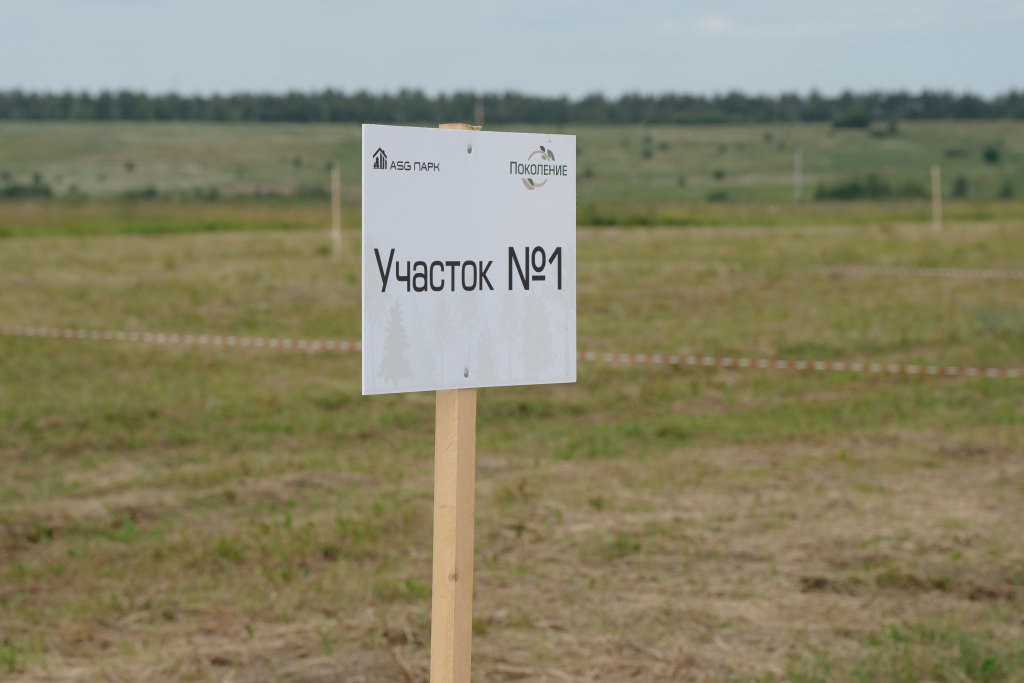 MLV03445.jpg MLV03445.jpg
